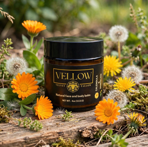 Calendula & Dandelion Balm